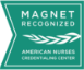 Magnet recognition